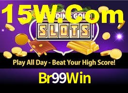 Br99Win