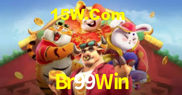 Premium Interface Br99Win